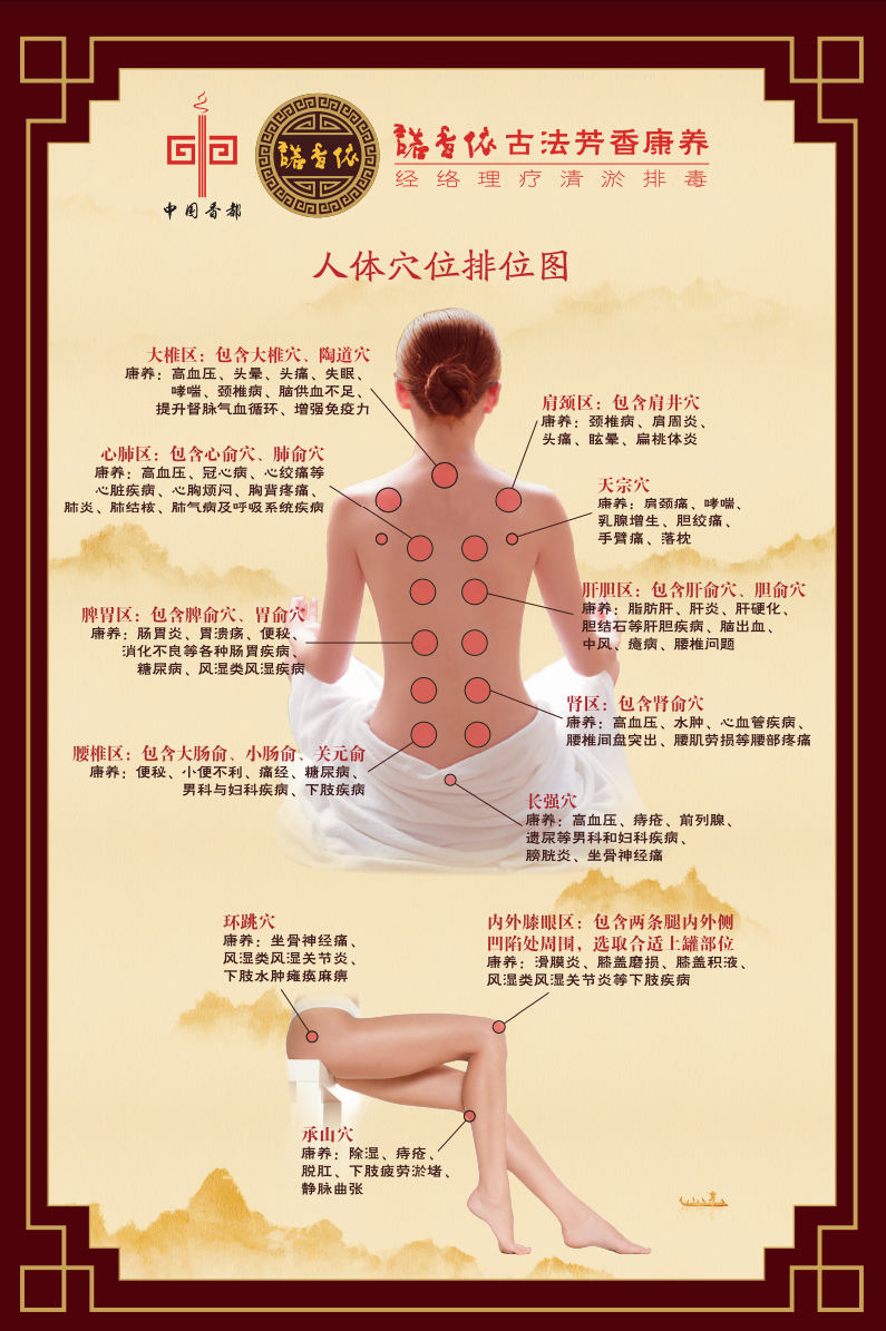 中医经络背部穴位 人体穴位排位图 诺香依