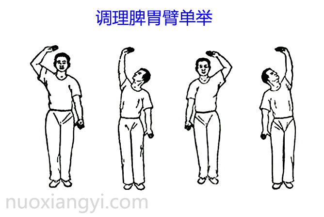 诺香依调理肠胃臂单举.jpg