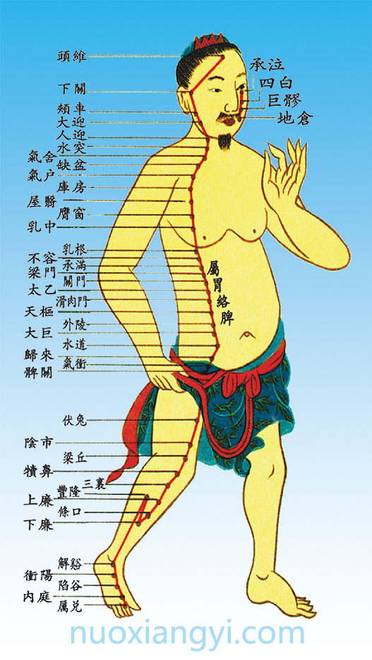 诺香依足阳明胃经.jpg