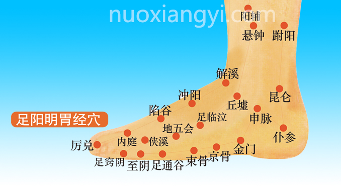 诺香依解溪穴示意图.jpg