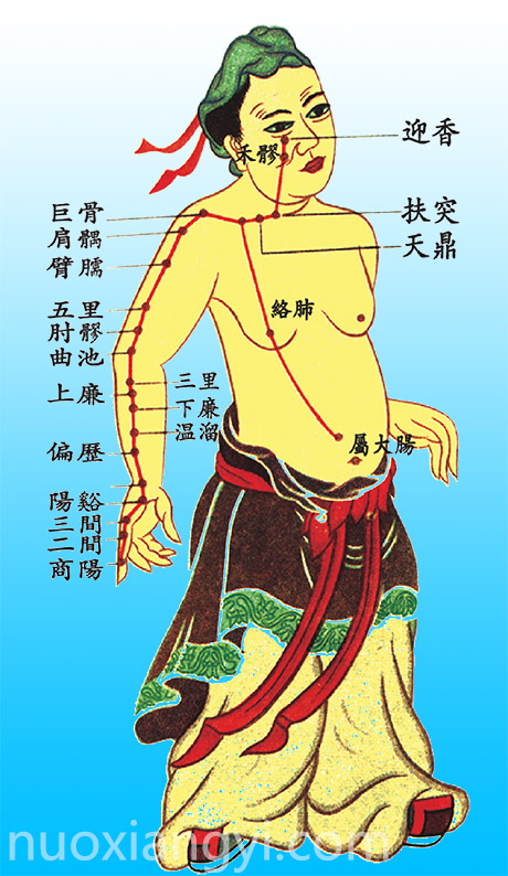 诺香依手阳明大肠经示意图.jpg