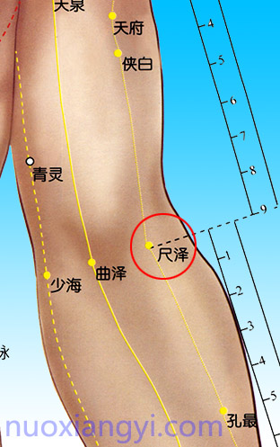 诺香依尺泽穴示意图.jpg