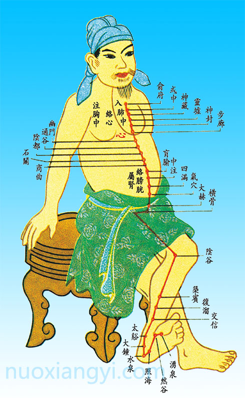 诺香依足太阴肾经.jpg