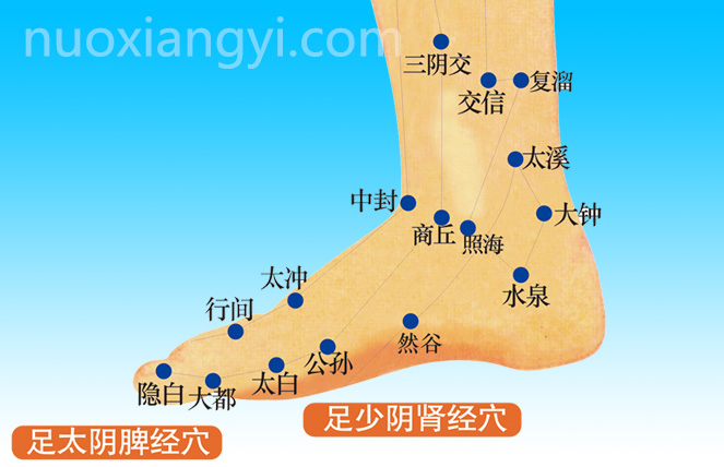 诺香依太溪穴示意图.jpg