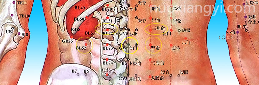 诺香依命门穴和肾腧穴示意图.jpg